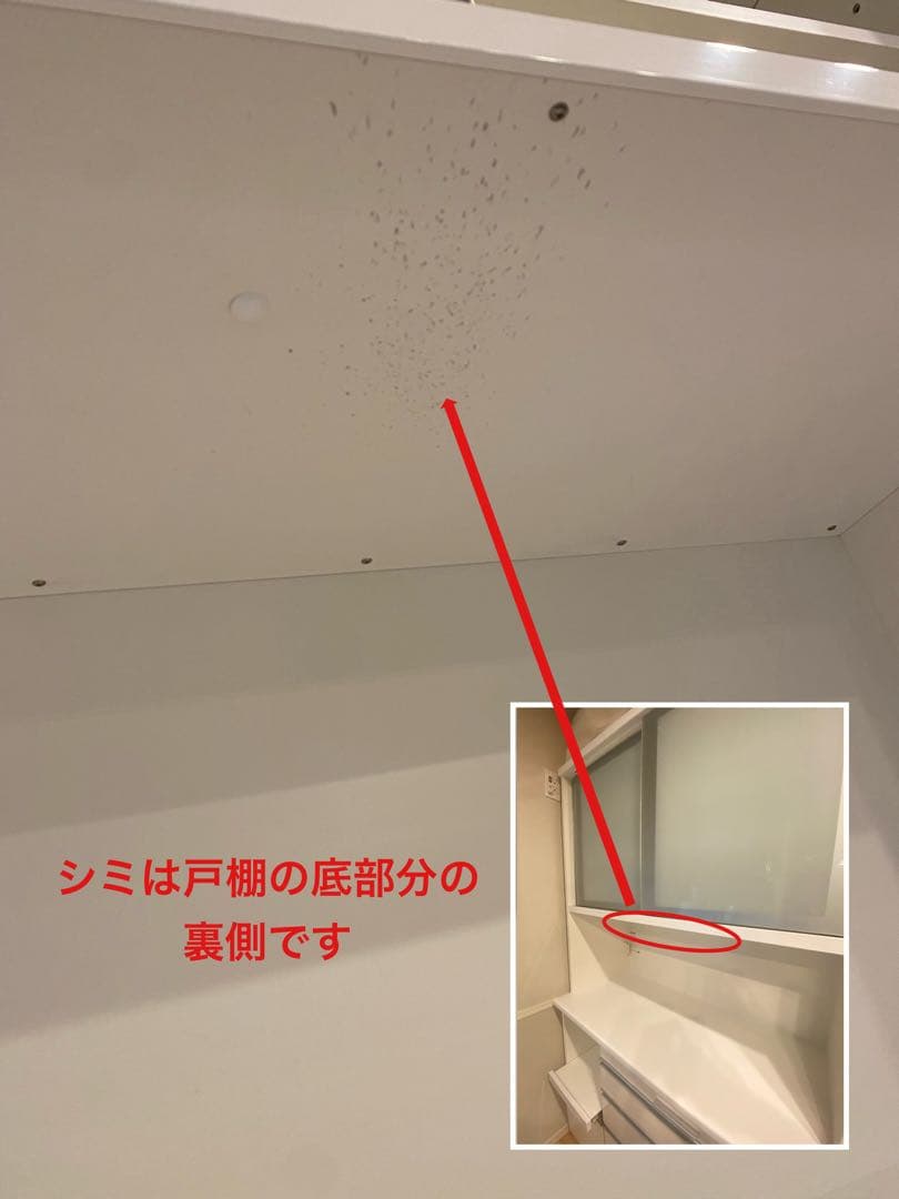 上段　Miyabina