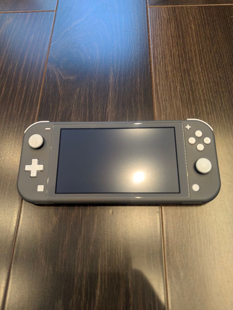 Nintendo Switch Lite グレー + アクセサリー