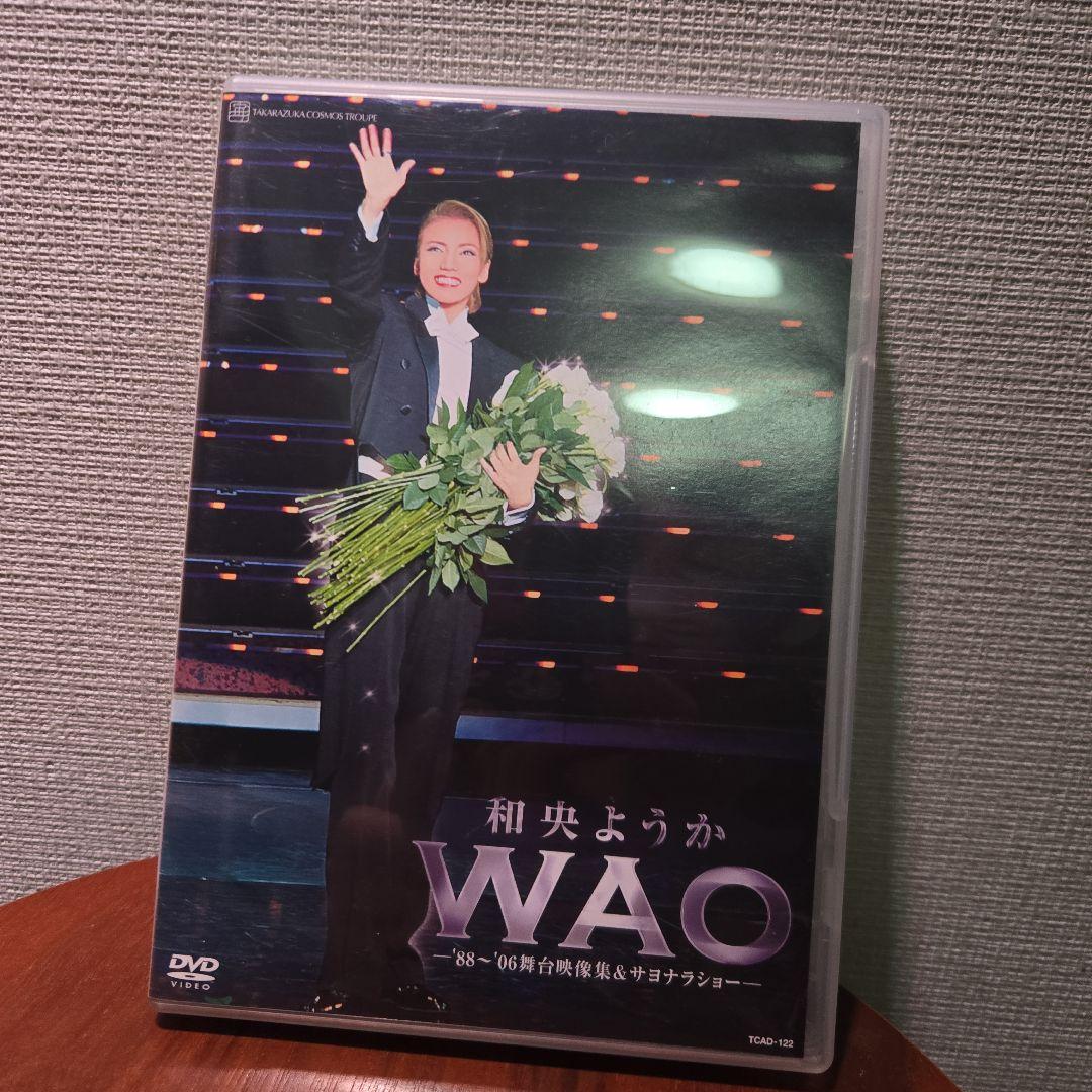 和央ようか　まとめ売り