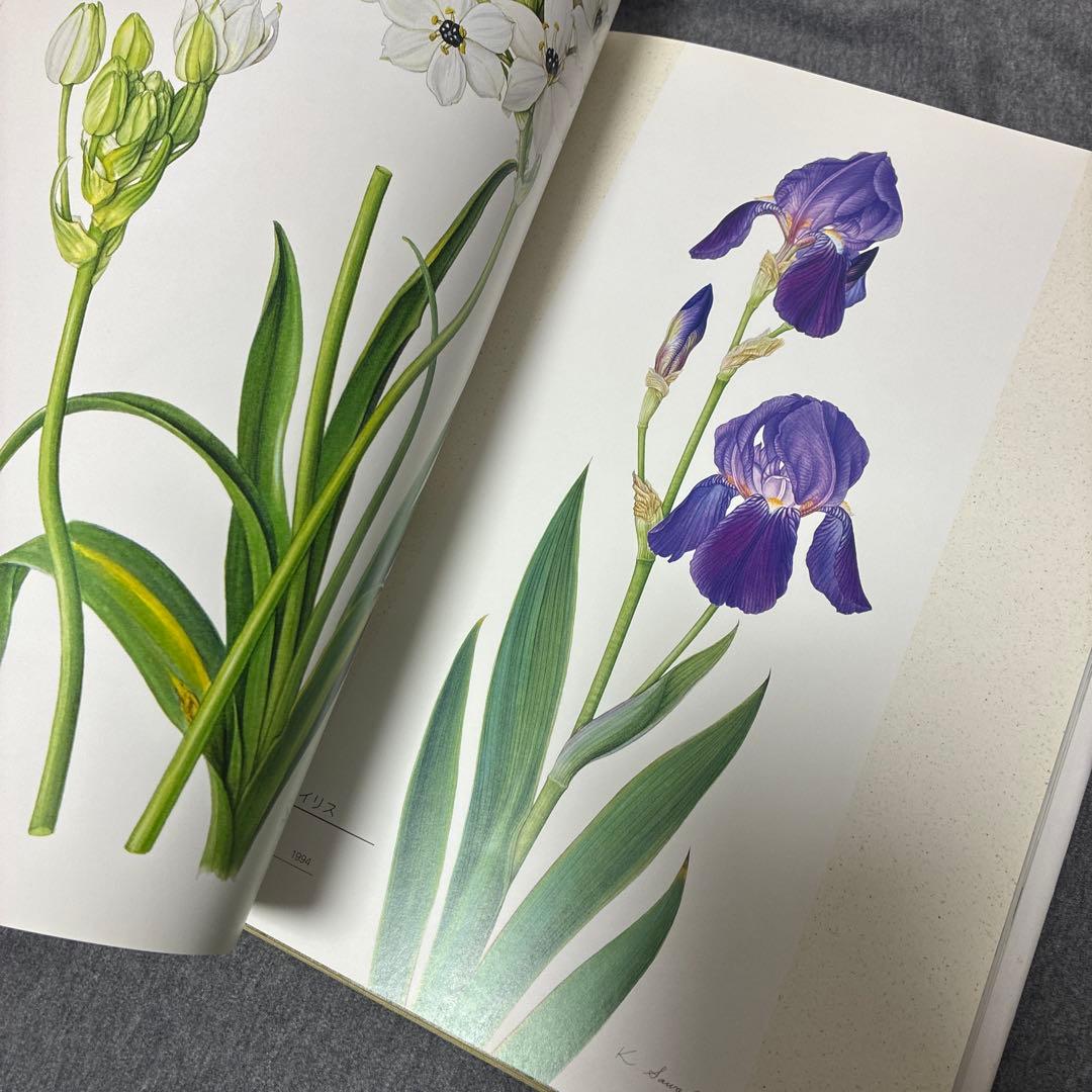 BOTANICAL ART KAHO SAWADA 大型本　定価1万2000円