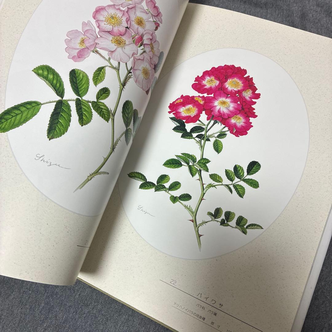BOTANICAL ART KAHO SAWADA 大型本　定価1万2000円