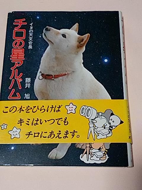 チロ　シリーズ　５冊　ポプラ　ノンフィクション