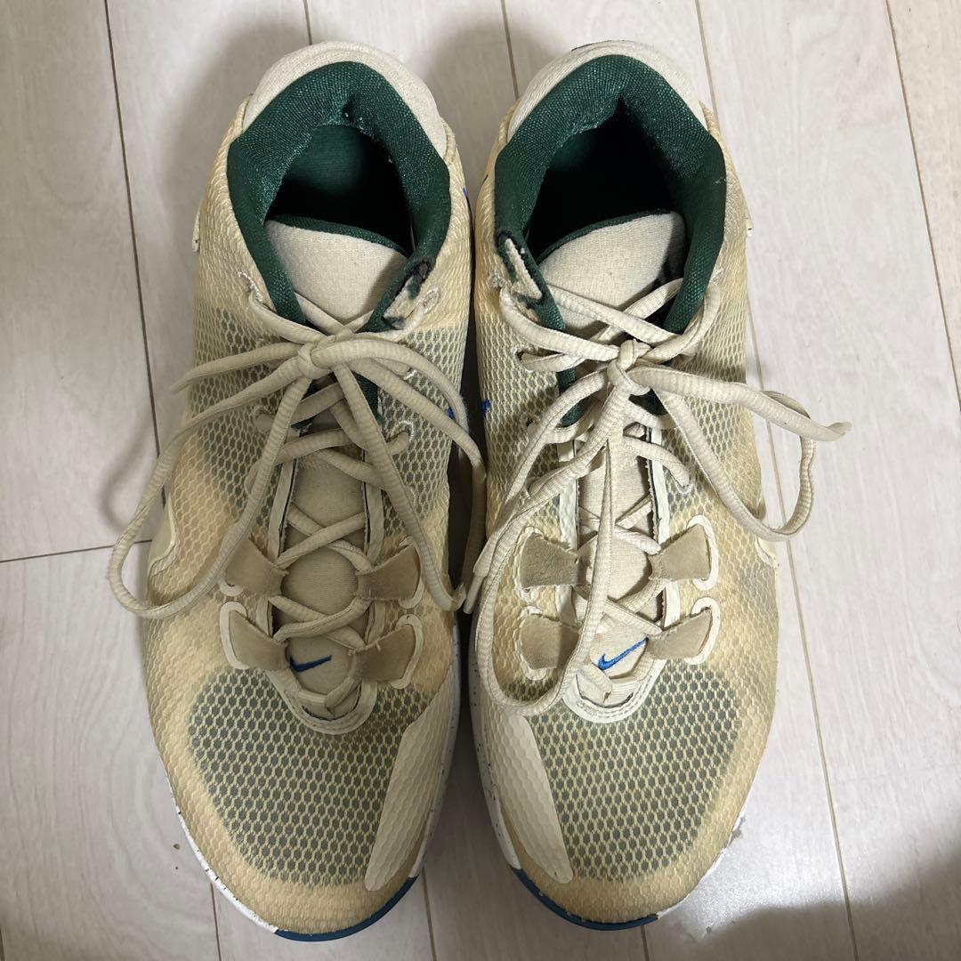 シューズ(男性用) Nike Zoom Freak 1 Light Cream/Blue 26.5