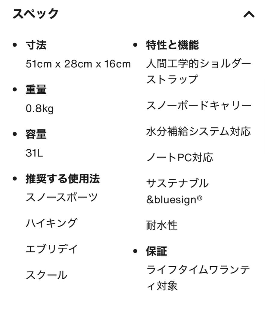 BURTON バックパック　リュック　バックカントリー