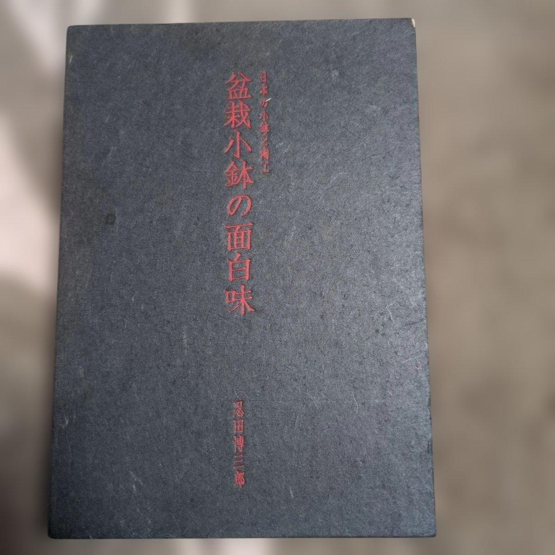 盆栽小鉢の面白味
