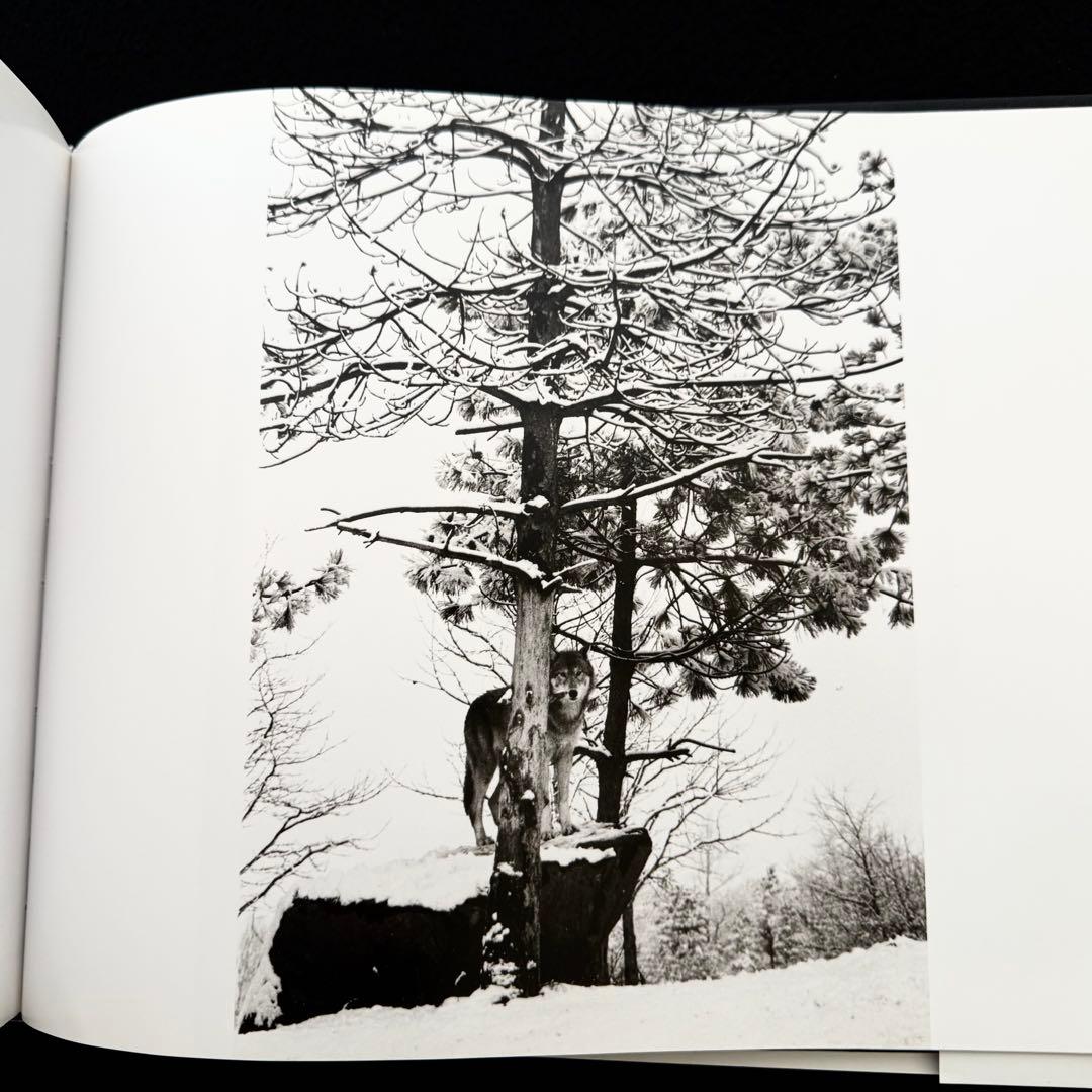 ウルフ 狼 写真集「Wolf Empire」Scott Ian Barry