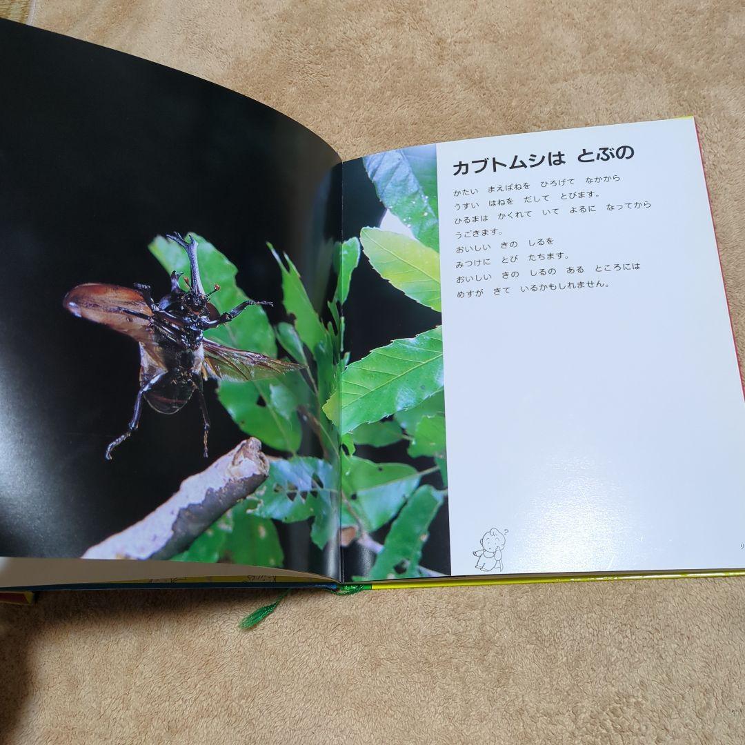 家庭保育園　なぜなにブック 全22冊　絵本　知育教材