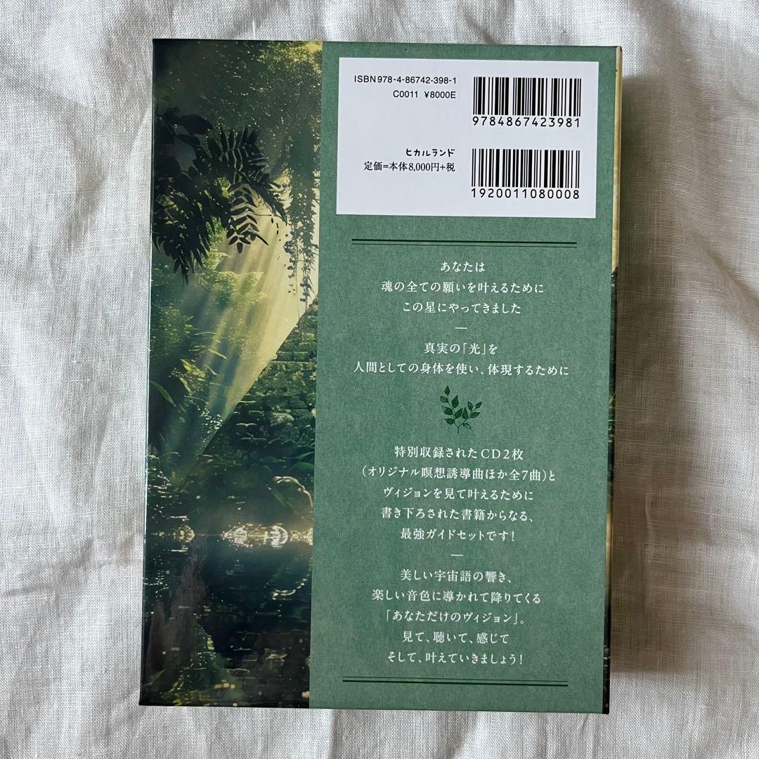 VISION LESSON ヴィジョンレッスン　CD未開封