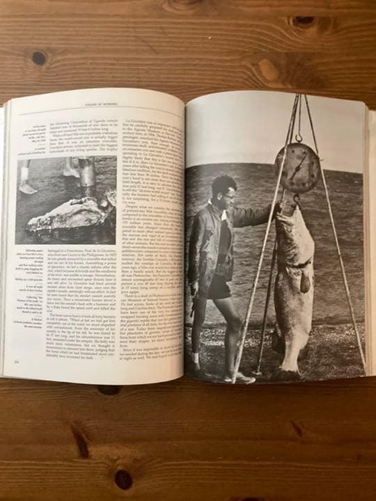 アート・デザイン・音楽 EYELIDS OF MORNING by Peter Beard
