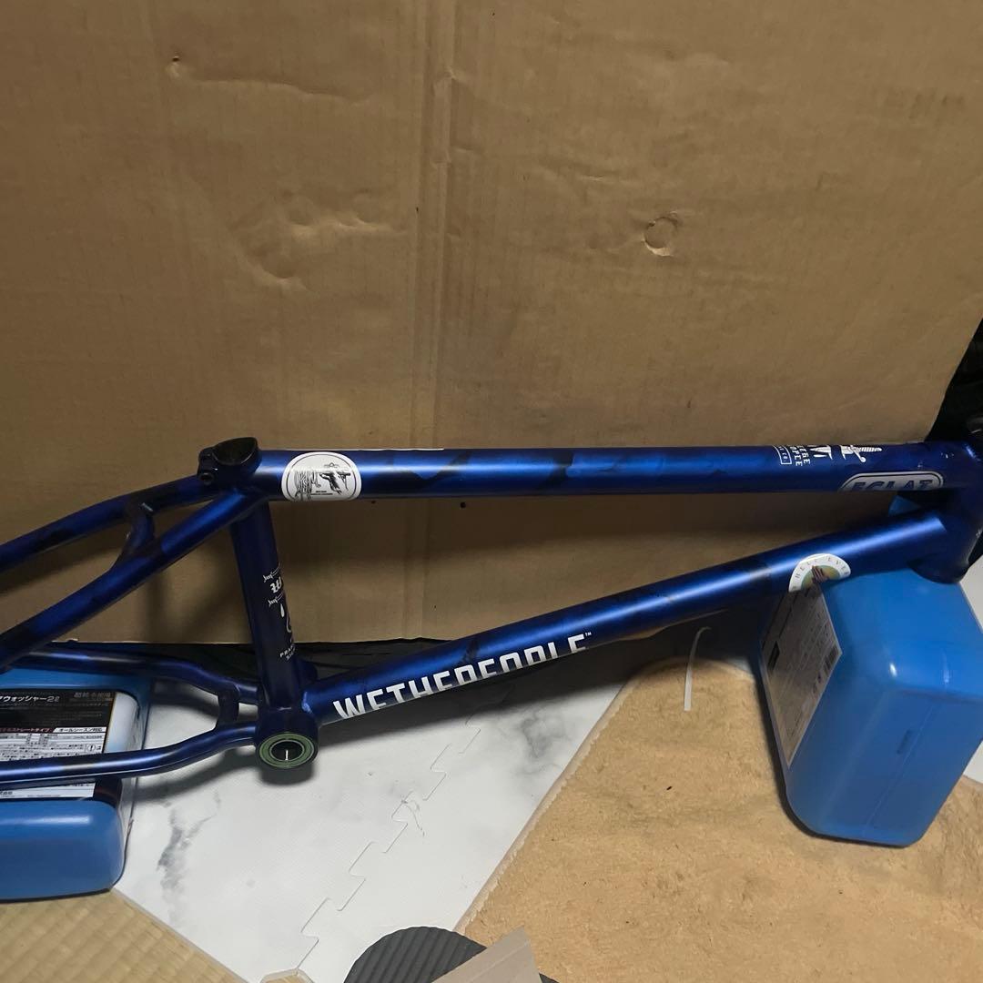 WETHEPEOPLE Pathfinder フレームTT20.75