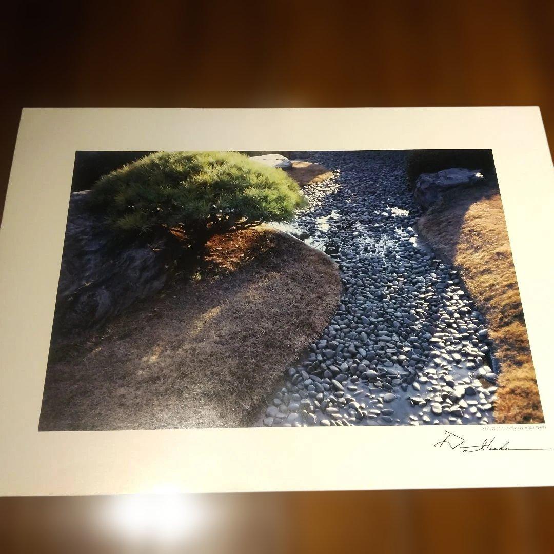 平和と文化の光 (VOL.3) 池田大作写真集