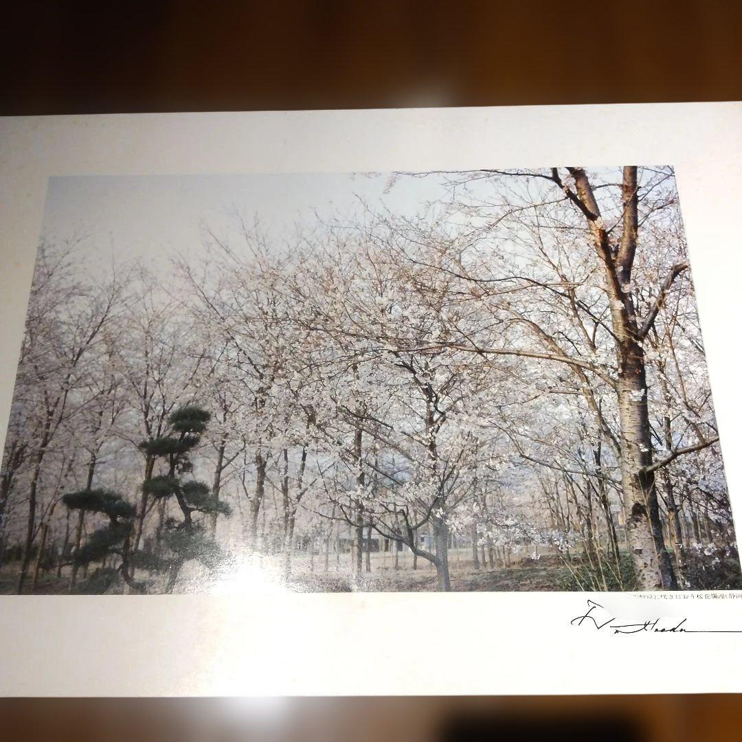 平和と文化の光 (VOL.3) 池田大作写真集