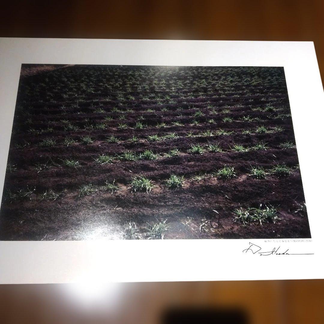 平和と文化の光 (VOL.3) 池田大作写真集