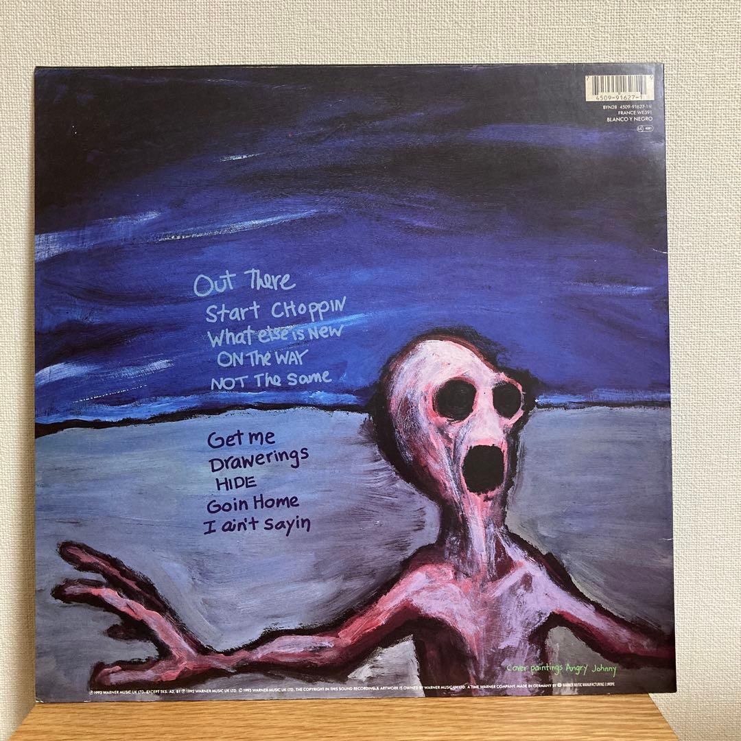 洋楽 DINOSAUR Jr / Where You Been