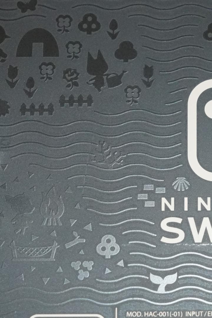 Nintendo Switch 本体 あつまれ どうぶつの森 セット ソフトなし