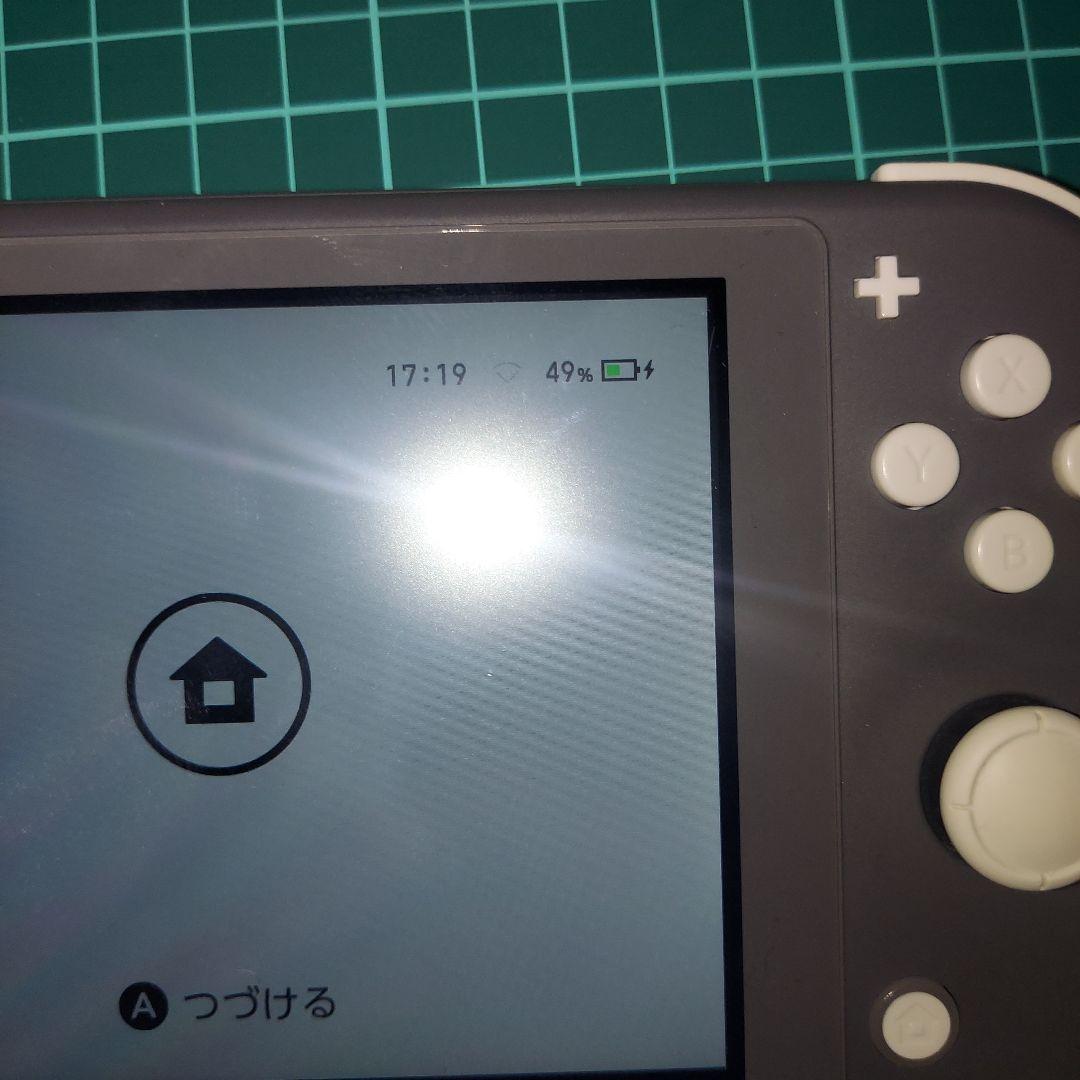 【匿名発送】 Nintendo Switch Lite グレー 本体 セット