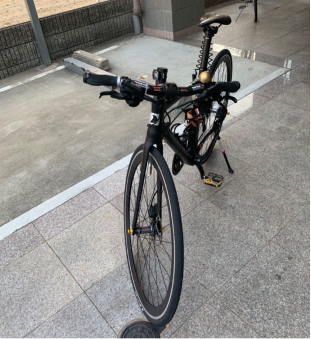 ロードバイクルイガノフルカーボン