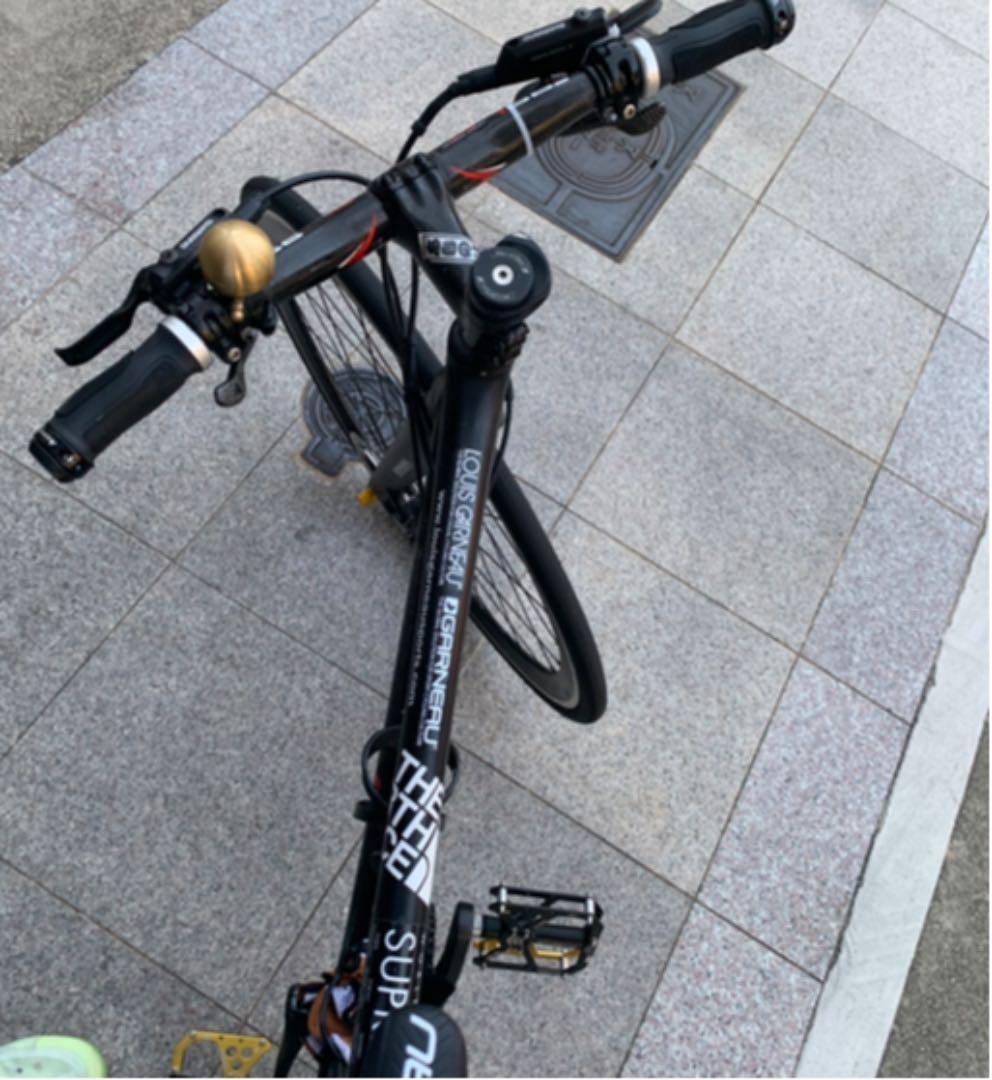 ロードバイクルイガノフルカーボン
