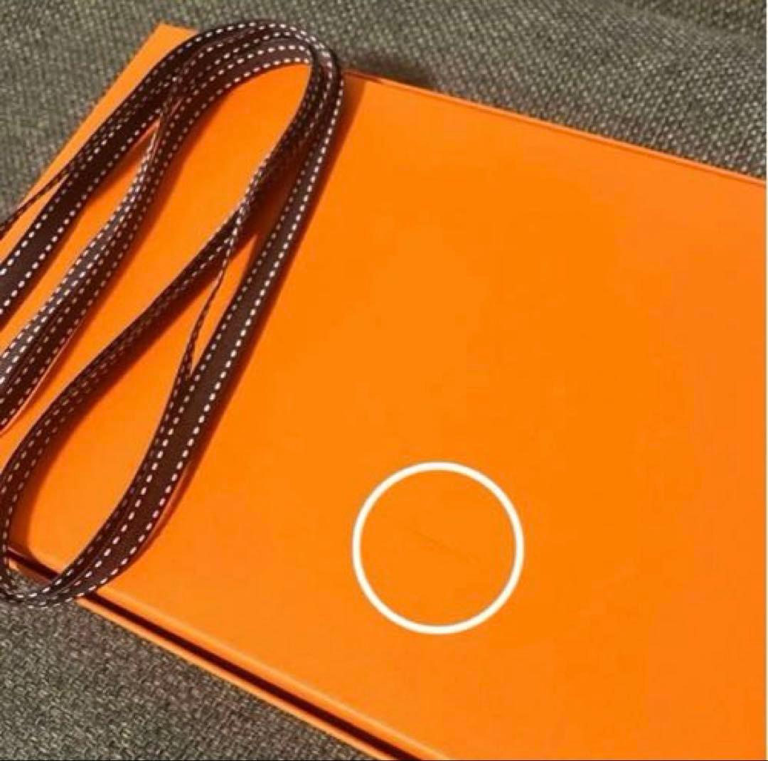 極レア✨HERMES カレジェアン オルフェウスの魅力に誘われて カシシル140