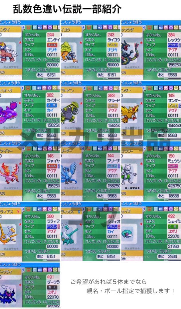 北海道人ページ ケースなしお値引き ププラチナ