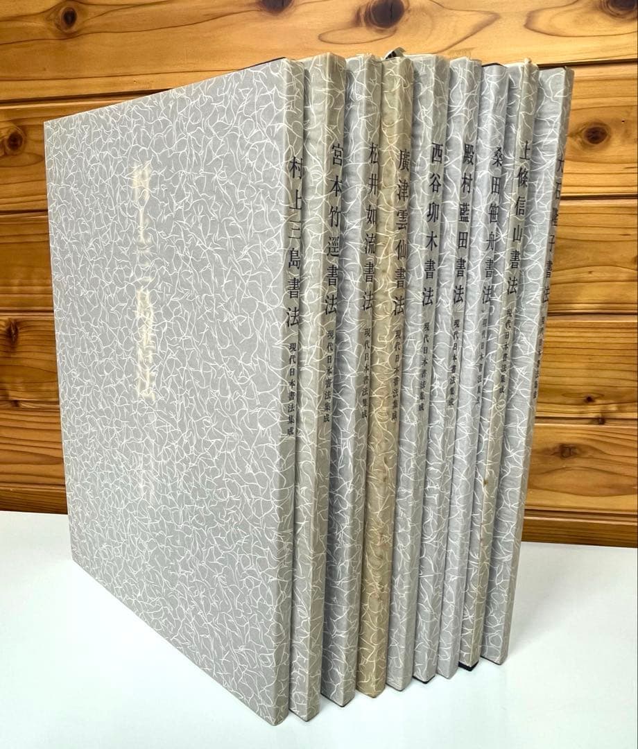 現代日本書法集成 9巻セット