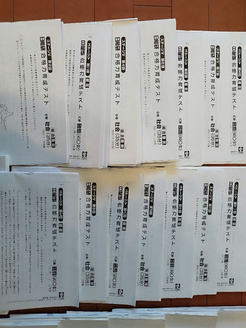最新 2024年度 日能研 6年 ステージⅤ 合格力実践テスト&合格力育成テスト
