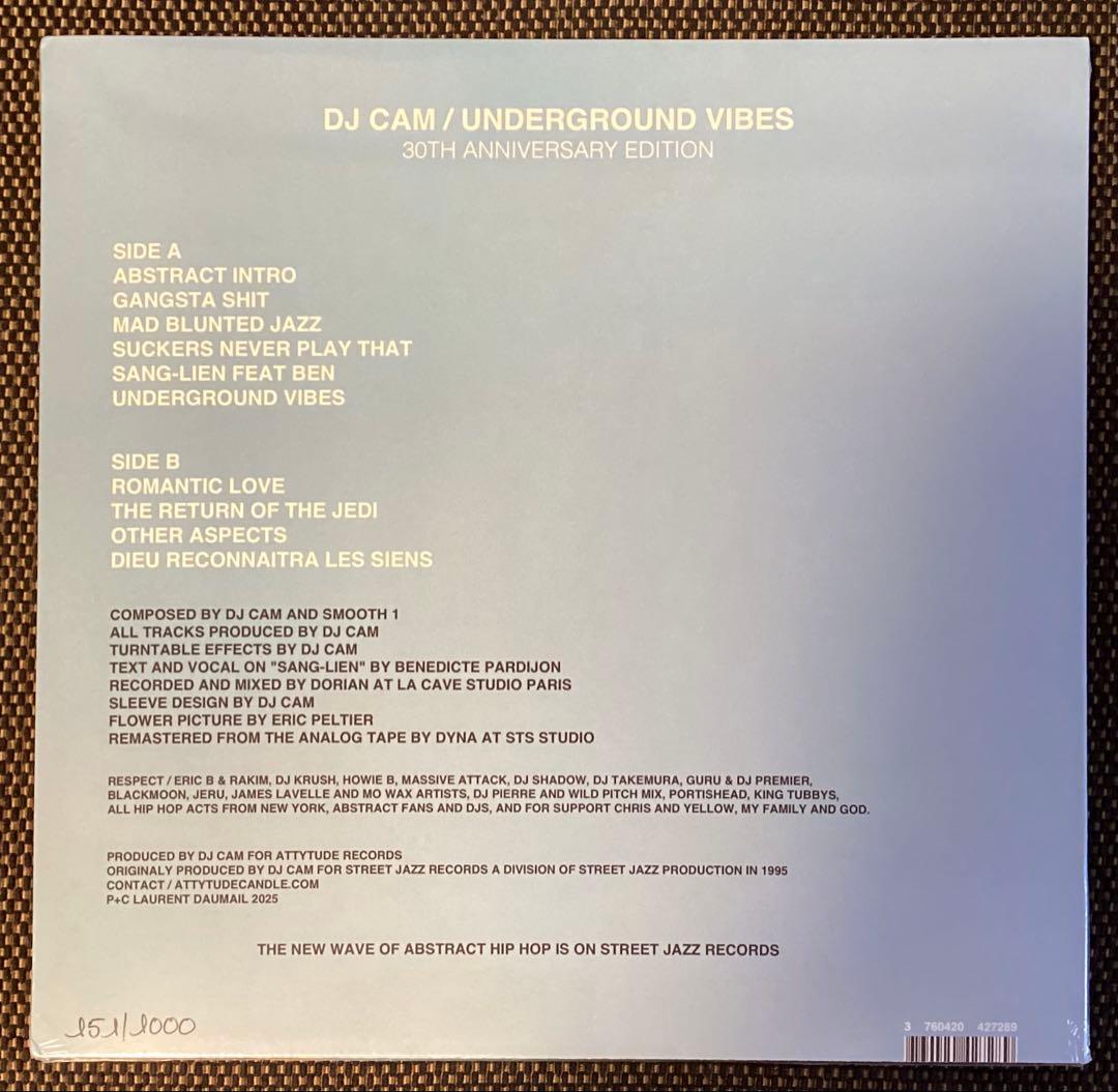 新品未開封 DJ Cam Underground Vibes 発売30周年限定盤