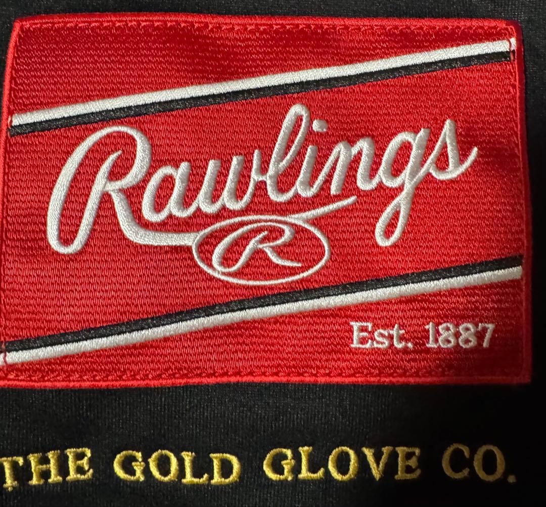 Rawlings ローリングス プロプリファード 硬式グローブ　内野手用【美品】