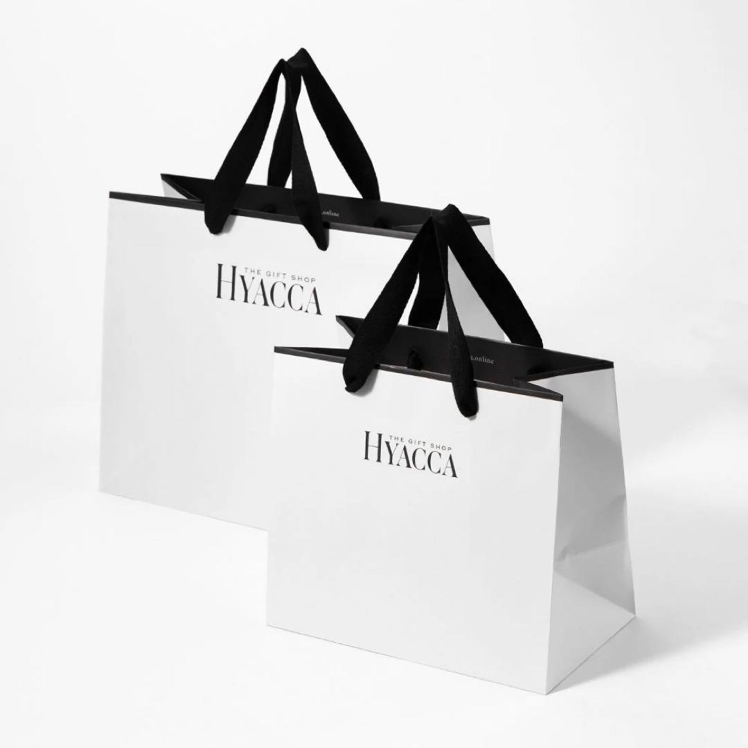【新品未使用】HYACCA 食器セット 4点