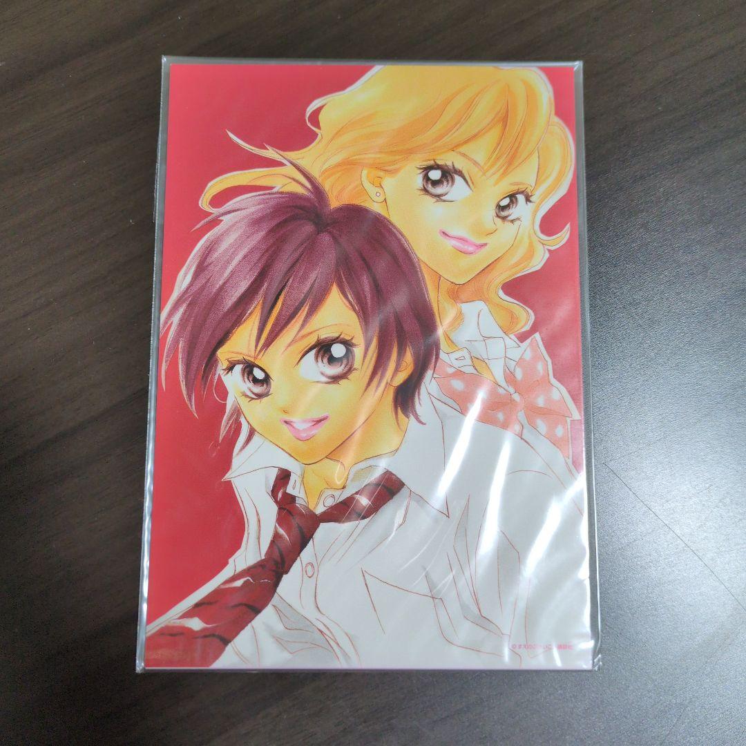 ライフ DVDボックスセット 北乃きい
