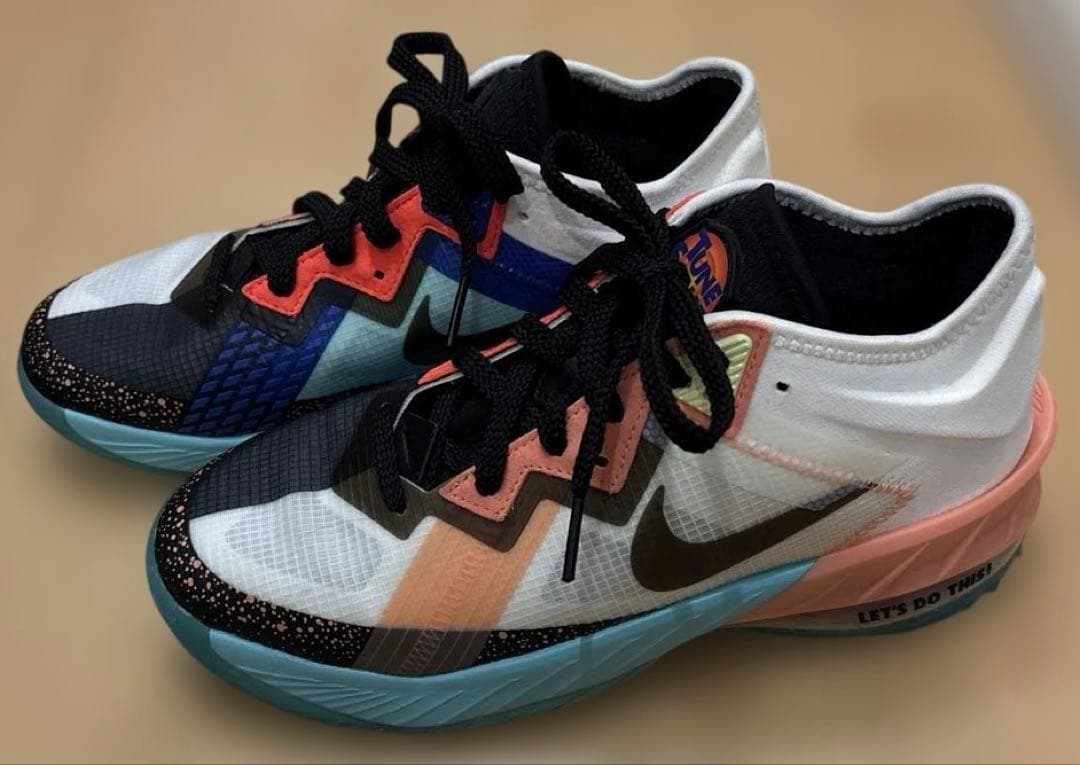 Nike ビッグキッズ レブロン18 ローサミット ホワイト/ブラック　24cm