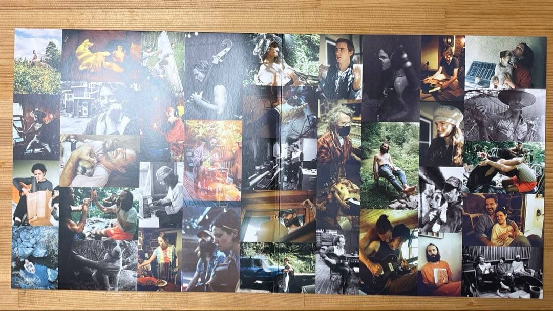 Big Thief 5thアルバム 2LP (限定ランダムカラーvinyl)