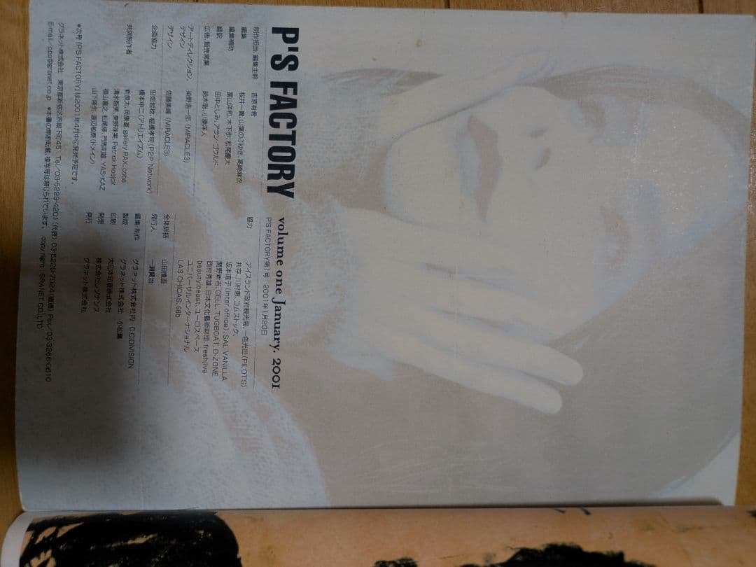 P'S FACTORY volume01special issue:BJÖRK