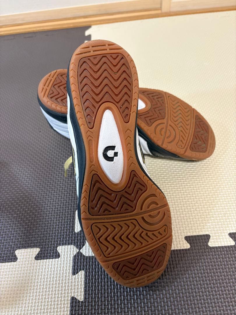 デスポルチ Desporte CampinasJP6 カンピーナス