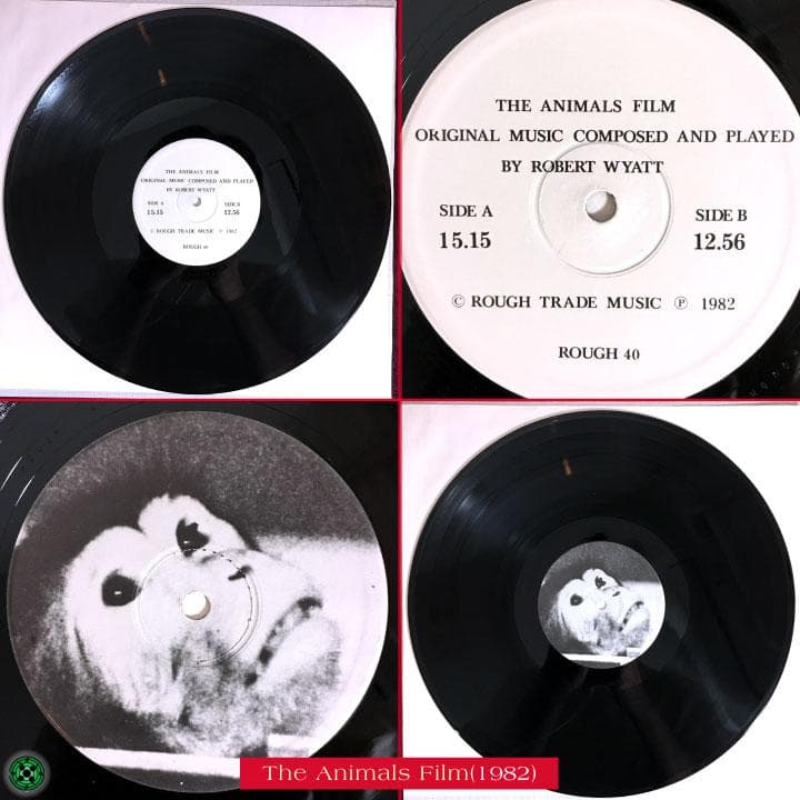 LPレコード Robert Wyatt ロバート・ワイアット