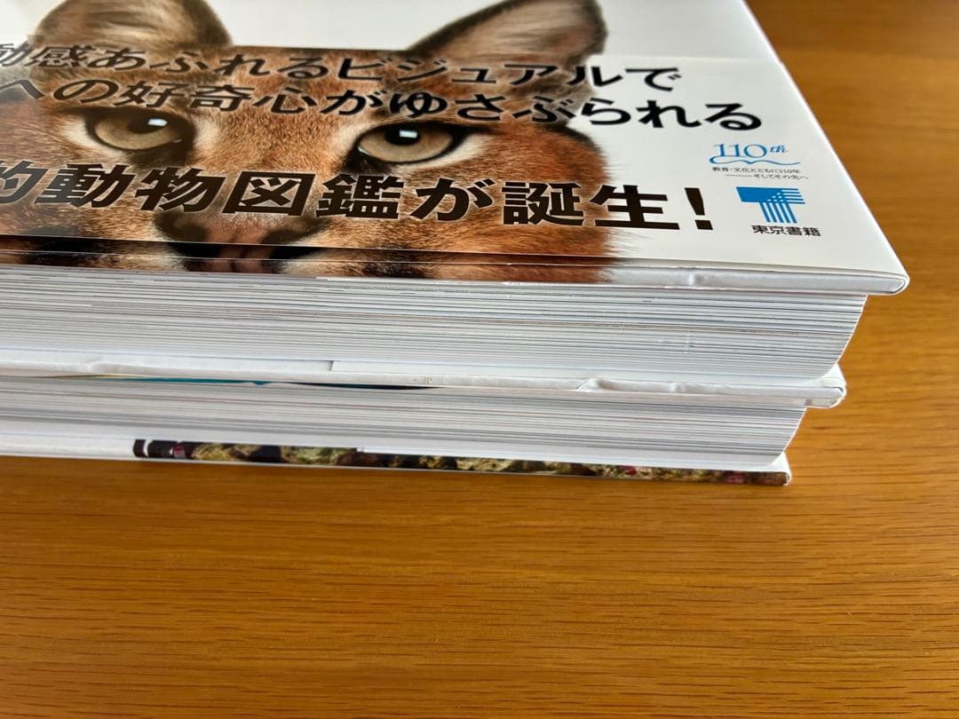 ZOOLOGY 図鑑　海の生物　動物の世界　2冊セット　帯付き　美品