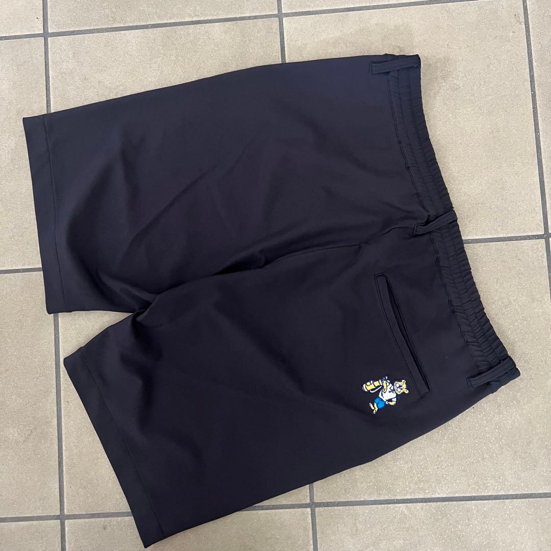 BEAMS GOLF ビームスゴルフ　セットアップ　ucla メンズ　ゴルフ L