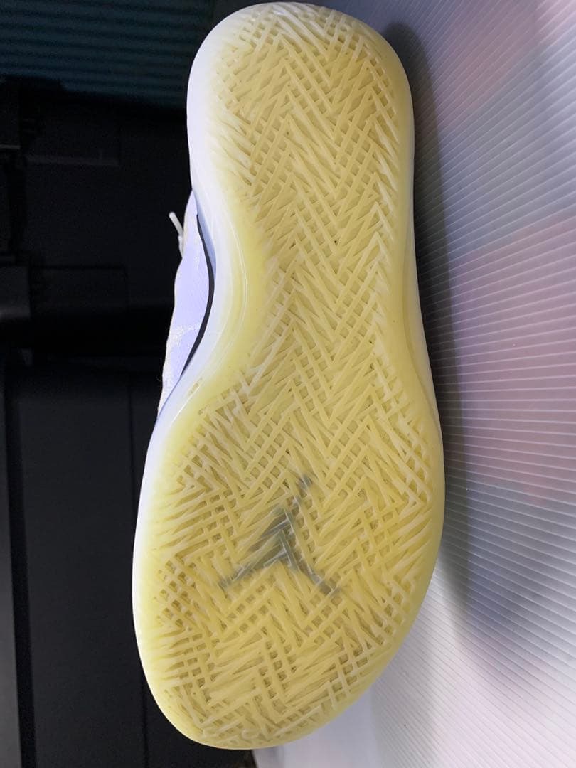 美品 AIR JORDAN TYPE 39 エアージョーダン 28cm ホワイト
