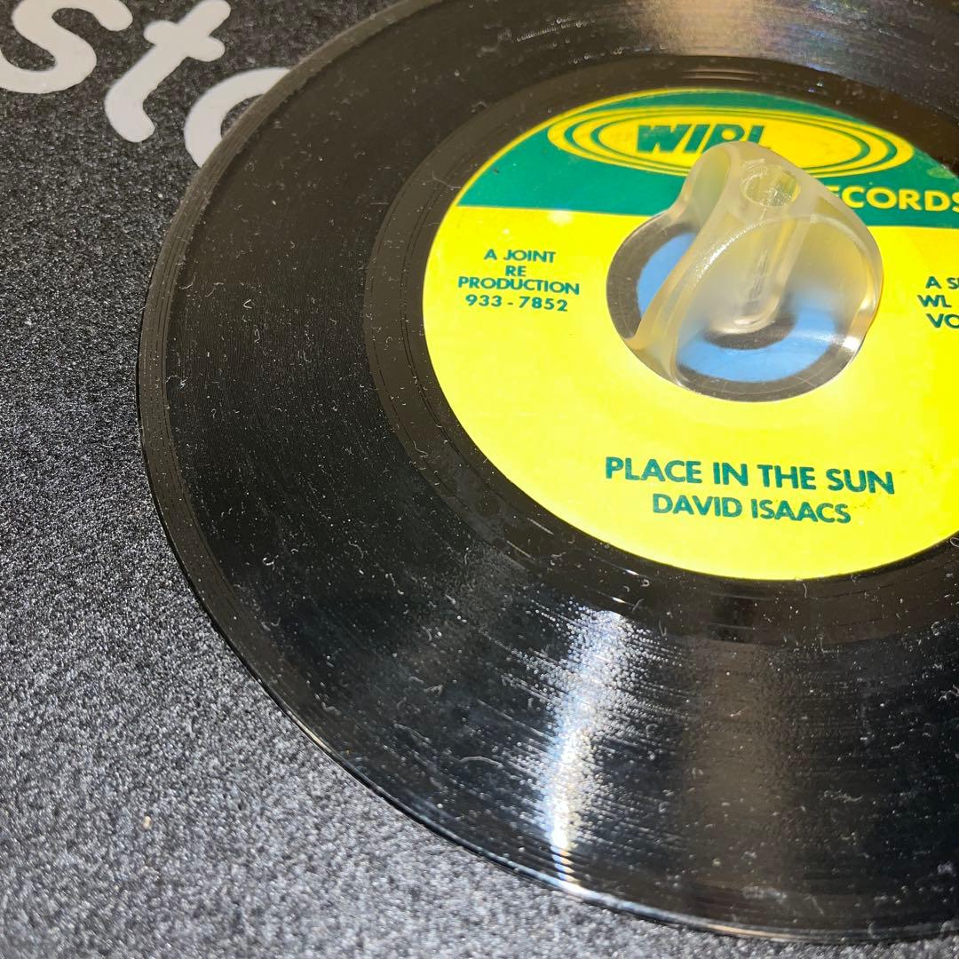 【激シブ 名曲】DAVID ISAACS - PLACE IN THE SUN