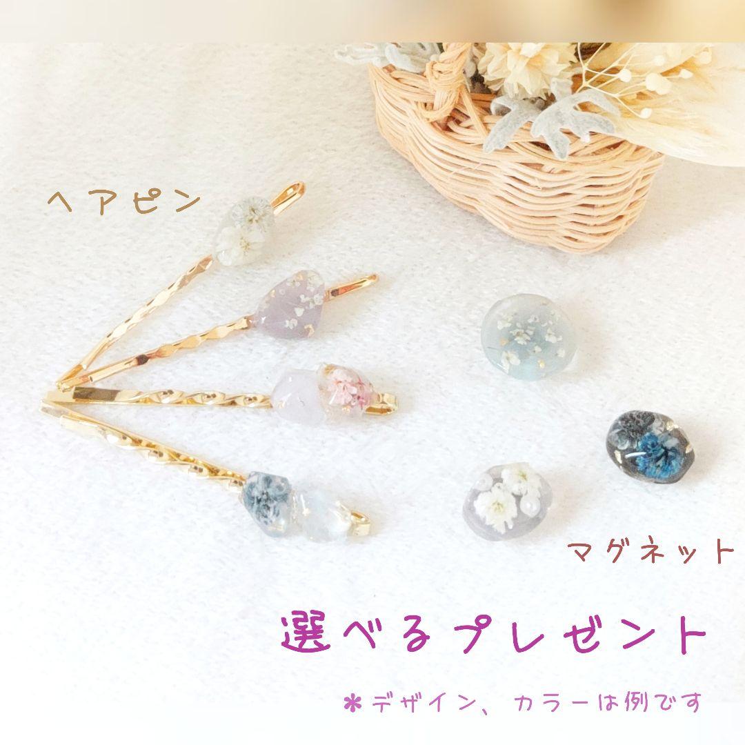 Hestiaページ