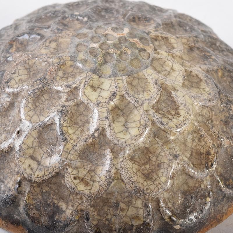 マル 茶道具　大樋焼　菊形　香合　時代箱　N　7468