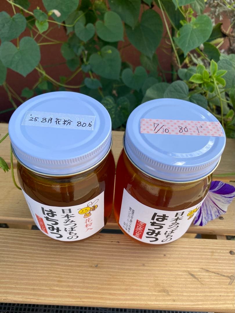 はちみつ　日本蜜蜂のハチミツ　奥山の奥の蜂蜜と花粉入りハチミツ