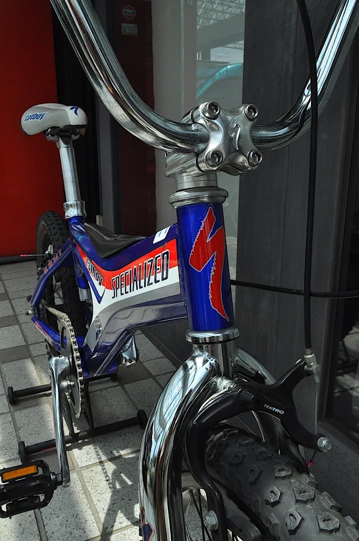 スペシャライズド　BMX　FATBOY