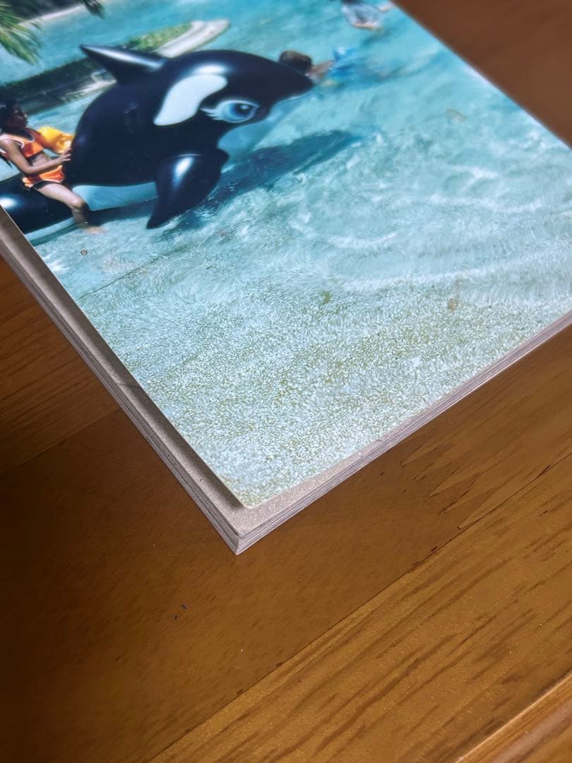 ホンマタカシ レア写真集PUT ME IN THE WATER(+一冊おまけ)