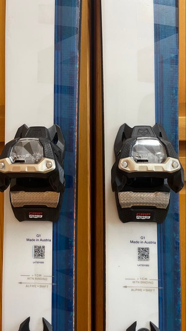 SALOMON QST106 Echo 173cm マーカーグリフォン サロモン