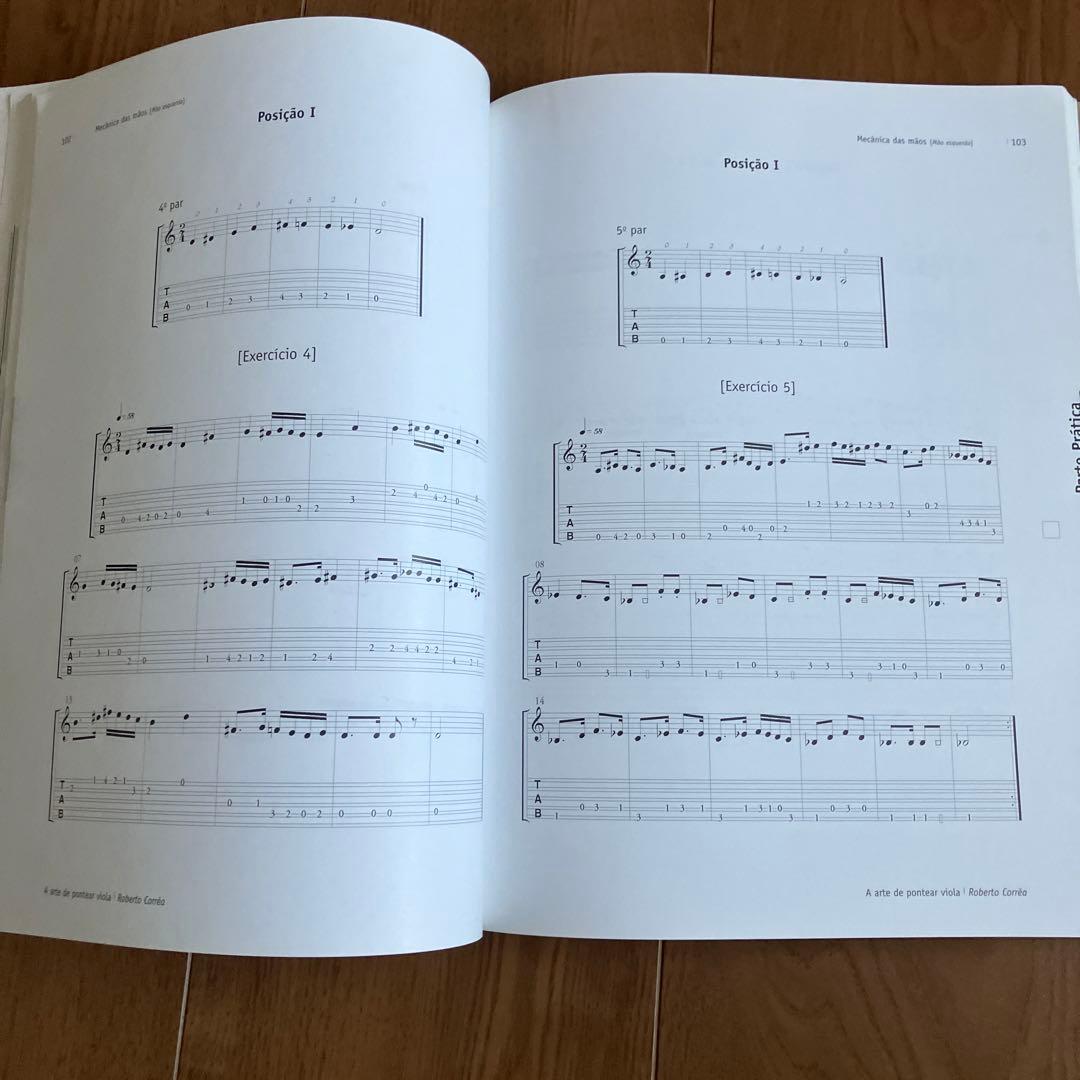 アート・デザイン・音楽 A Arte de Pontear Viola / Roberto Correa