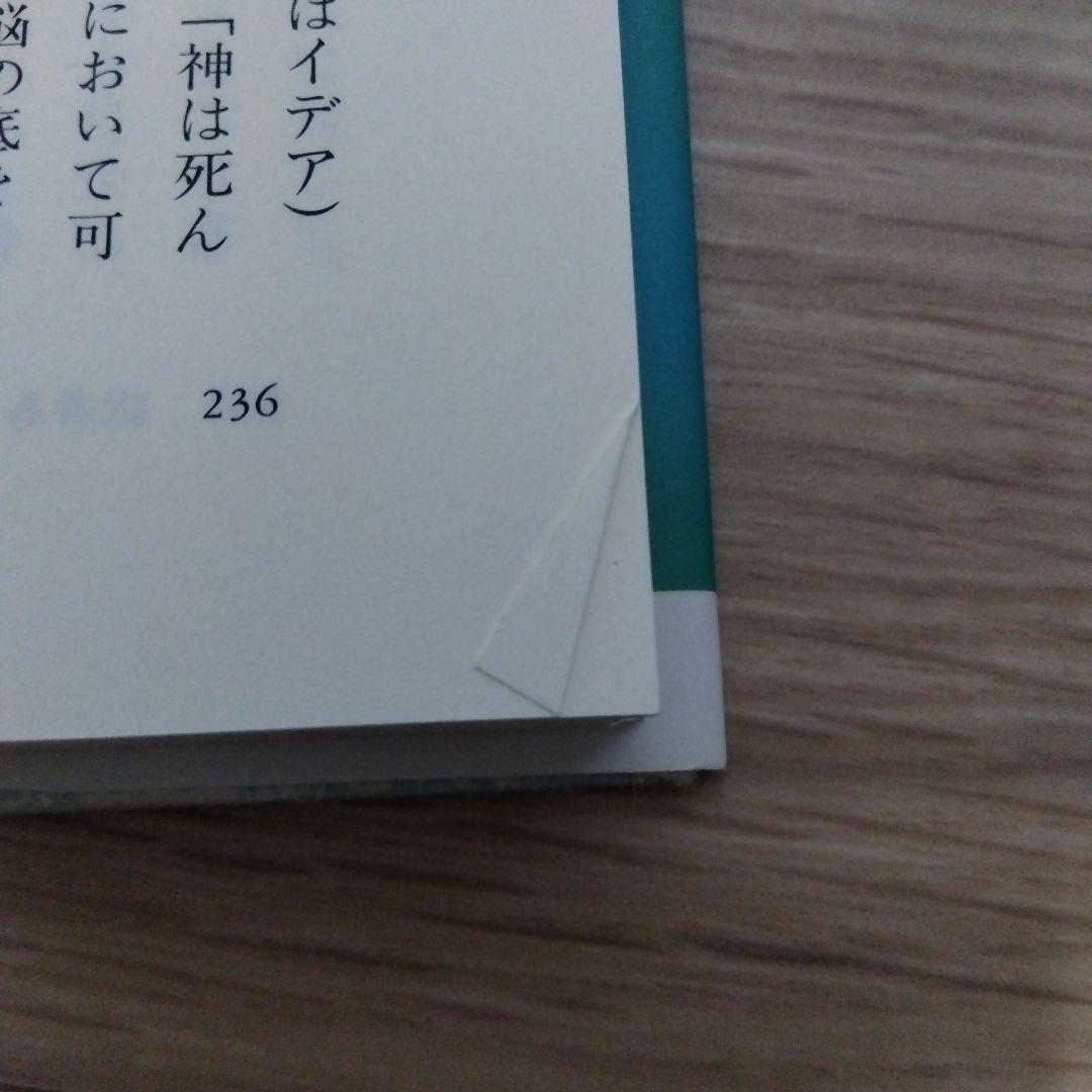 苦悩する人間　　sa2