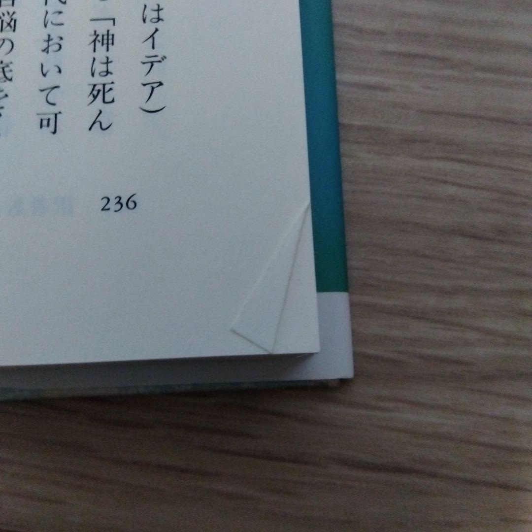 苦悩する人間　　sa2