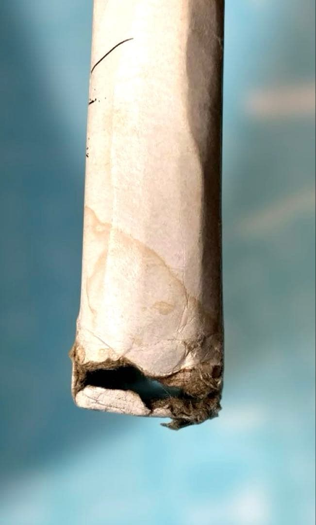 中国拳法大講座　本