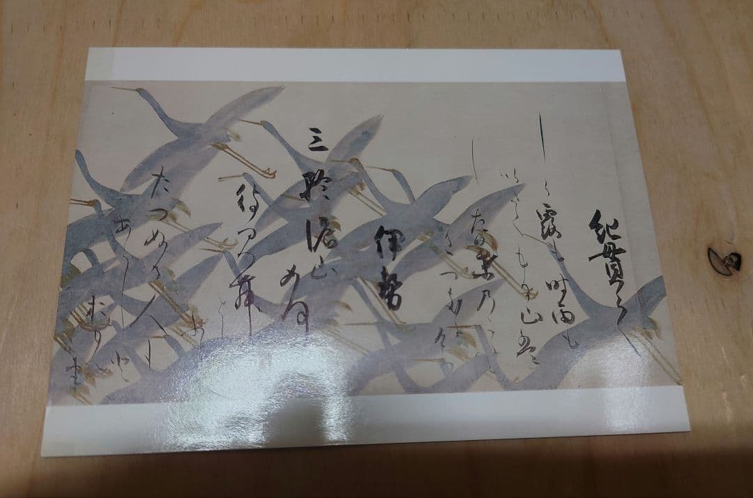 三井家伝来「円山派衣裳画」 紫紅社 SC2Y-N